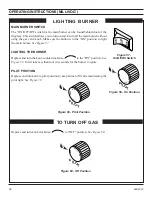 Предварительный просмотр 38 страницы Majestic 300DVBH Installation And Operating Instructions Manual