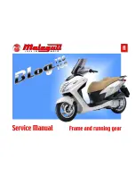 Preview for 1 page of Malaguti Blog 126 Service Manual