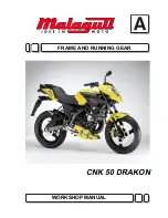 Malaguti CNK 50 DRAKON Workshop Manual preview