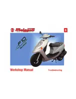 Malaguti F10 2008 Workshop Manual preview