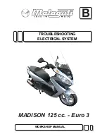 Malaguti MADISON 3 125 cc Workshop Manual preview