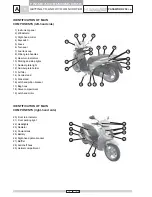 Preview for 12 page of Malaguti Password 250 i.e. Workshop Manual