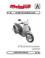 Malaguti Password 250 Workshop Manual preview