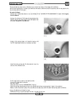 Preview for 219 page of Malaguti SPIDER MAX 500 Diagnostic Manual