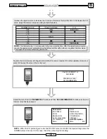 Preview for 242 page of Malaguti SPIDER MAX 500 Diagnostic Manual