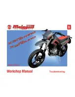 Malaguti X3Motard Workshop Manual preview