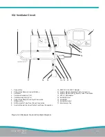 Preview for 93 page of Mallinckrodt INOMAX DSir Plus Operation Manual