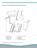 Preview for 102 page of Mallinckrodt INOMAX DSir Plus Operation Manual