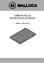 Malloca MI-784 ITG User Manual preview