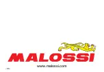 Предварительный просмотр 20 страницы Malossi 5518429 Manual