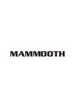 Предварительный просмотр 18 страницы Mammoth M.DC.T.GT.20.260 Manual