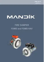 Mandik FDMS Manual preview