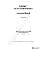 Maniway MW-L1 Instruction Manual preview