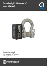 Mantracourt BroadWeigh User Manual предпросмотр