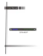 Предварительный просмотр 1 страницы Marani Pro Audio DPA480P User Manual