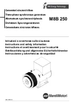 MarelliMotori M8B 250 Instructions And Safety Information preview