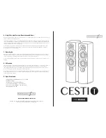 Preview for 1 page of Mark Audio Cesti T User Manual