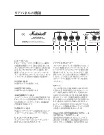 Предварительный просмотр 38 страницы Marschall JCM900 4100 Owner'S Manual