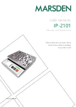 marsden IP 2101 User Manual предпросмотр