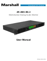 Marshall Amplification AR-AM4-BG-2 User Manual preview