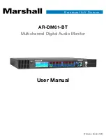 Marshall Amplification AR-DM61-BT User Manual preview