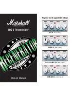 Marshall Amplification EFFECT PEDAL RG-1 REGENERATOR Owner'S Manual preview