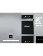 Marshall Amplification Silver Jubilee Series JCM 25 Owner'S Manual предпросмотр