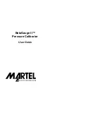 Предварительный просмотр 1 страницы Martel BetaGauge II User Manual