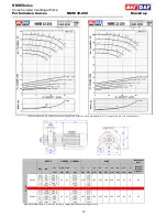 Preview for 12 page of MAS NMM 100-160 Technical Manual