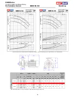 Предварительный просмотр 16 страницы MAS NMM 100-160 Technical Manual