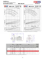 Preview for 31 page of MAS NMM 100-160 Technical Manual