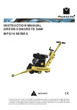 Preview for 1 page of Masalta MFG10 Series Instruction Manual