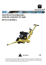 Предварительный просмотр 1 страницы Masalta MFG10 Series Instruction Manual