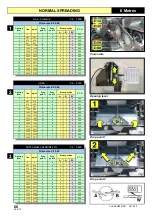 Preview for 66 page of Maschio GASPARDO AIRONE Use And Maintenance