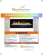 Mason-Lite OpalEscence LDB24B-EN Installation & Operation Manual preview