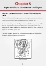 Preview for 12 page of MASSEY FERGUSON MF 260 Care Instructions