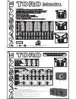 Massive Audio TORO 104 Specification preview