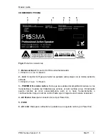 Preview for 8 page of Master audio P-10A User Manual