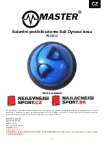 Master MAS4A111 User Manual предпросмотр