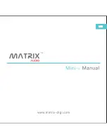 Matrix Audio Mini-i Manual предпросмотр