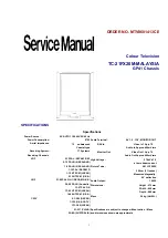 Matsushita Electric TC-21FX20M-MALAYSIA Service Manual предпросмотр