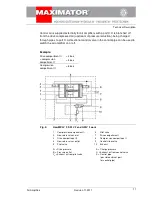 Preview for 15 page of MAXIMATOR GPLV 2 Assembly Instructions Manual