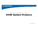 Preview for 2 page of Maxitrol Mertik GV60 Advanced Troubleshooting