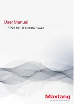 Preview for 1 page of Maxtang FP20 User Manual