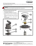 Предварительный просмотр 4 страницы McCrometer FlowConnect Retrofit Instruction