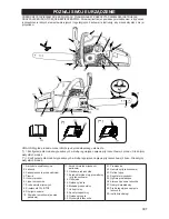 Preview for 307 page of McCulloch CS 42S Operator'S Manual