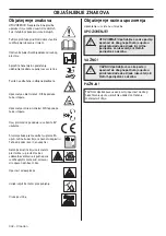 Preview for 302 page of McCulloch M46-160AWREX Operator'S Manual