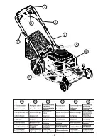 Предварительный просмотр 12 страницы McCulloch M56-190AWFPX Instruction Manual