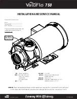 Предварительный просмотр 1 страницы MDM ValuFlo 750 Installation And Service Manual