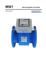 Meatest M921 User Manual предпросмотр